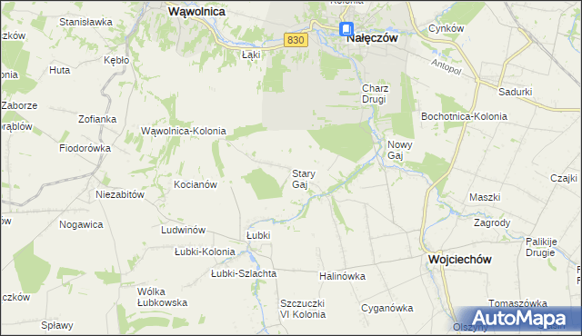 mapa Stary Gaj gmina Wojciechów, Stary Gaj gmina Wojciechów na mapie Targeo