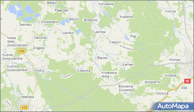 mapa Bąków gmina Międzybórz, Bąków gmina Międzybórz na mapie Targeo