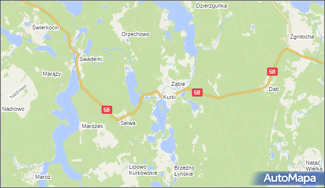 mapa Kurki gmina Olsztynek, Kurki gmina Olsztynek na mapie Targeo