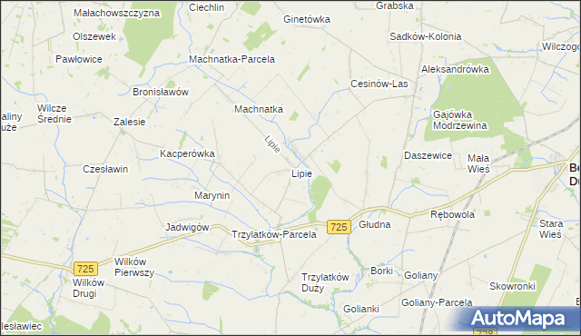 mapa Lipie gmina Błędów, Lipie gmina Błędów na mapie Targeo