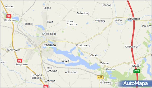 mapa Pluskowęsy gmina Chełmża, Pluskowęsy gmina Chełmża na mapie Targeo