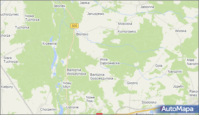 mapa Wola Dąbrowiecka, Wola Dąbrowiecka na mapie Targeo