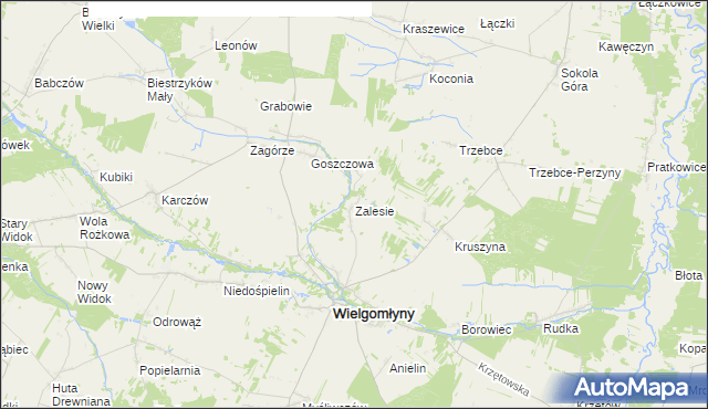 mapa Zalesie gmina Wielgomłyny, Zalesie gmina Wielgomłyny na mapie Targeo