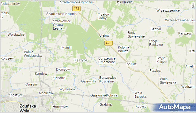 mapa Borszewice Cmentarne, Borszewice Cmentarne na mapie Targeo