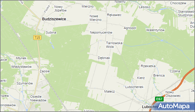 mapa Dębniak gmina Lubochnia, Dębniak gmina Lubochnia na mapie Targeo