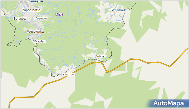 mapa Dubne, Dubne na mapie Targeo