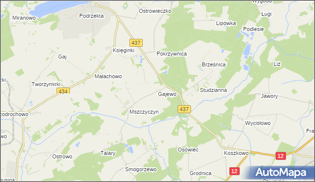 mapa Gajewo gmina Dolsk, Gajewo gmina Dolsk na mapie Targeo
