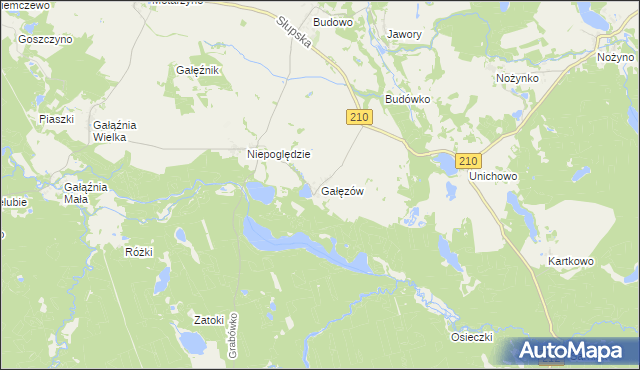 mapa Gałęzów gmina Dębnica Kaszubska, Gałęzów gmina Dębnica Kaszubska na mapie Targeo