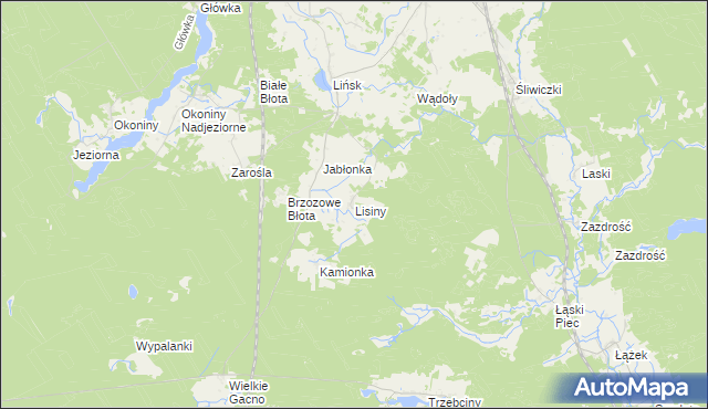 mapa Lisiny gmina Śliwice, Lisiny gmina Śliwice na mapie Targeo