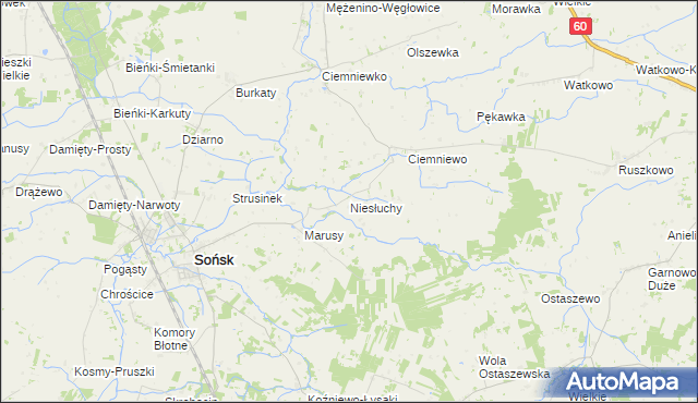 mapa Niesłuchy, Niesłuchy na mapie Targeo