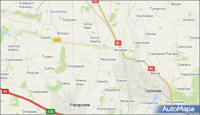 mapa Pełczyska gmina Ozorków, Pełczyska gmina Ozorków na mapie Targeo