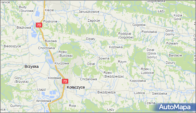 mapa Sowina gmina Kołaczyce, Sowina gmina Kołaczyce na mapie Targeo