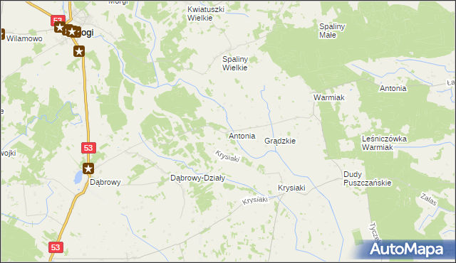 mapa Antonia gmina Rozogi, Antonia gmina Rozogi na mapie Targeo