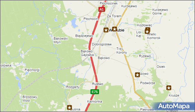 mapa Bąkowo gmina Warlubie, Bąkowo gmina Warlubie na mapie Targeo