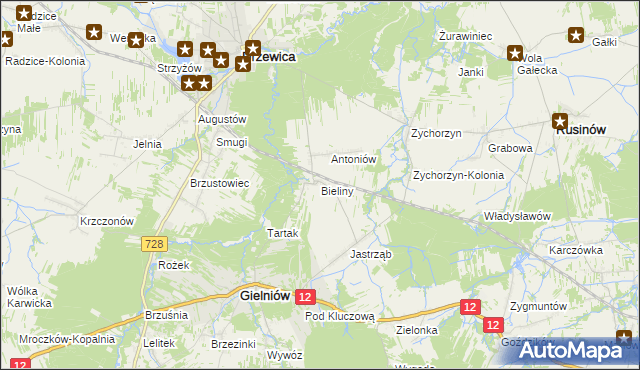 mapa Bieliny gmina Gielniów, Bieliny gmina Gielniów na mapie Targeo