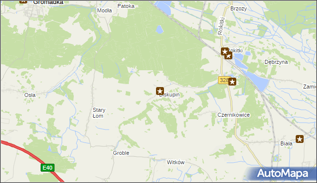 mapa Biskupin gmina Chojnów, Biskupin gmina Chojnów na mapie Targeo