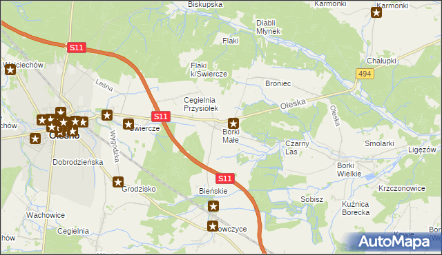 mapa Borki Małe gmina Olesno, Borki Małe gmina Olesno na mapie Targeo