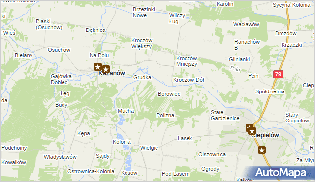 mapa Borowiec gmina Ciepielów, Borowiec gmina Ciepielów na mapie Targeo