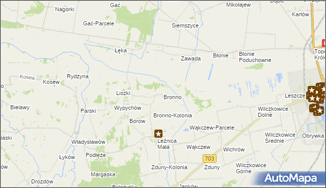 mapa Bronno gmina Łęczyca, Bronno gmina Łęczyca na mapie Targeo
