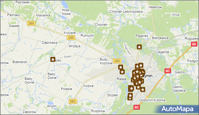 mapa Budy Kozickie, Budy Kozickie na mapie Targeo