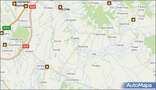 mapa Bzianka gmina Rymanów, Bzianka gmina Rymanów na mapie Targeo