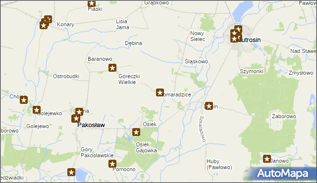 mapa Domaradzice gmina Jutrosin, Domaradzice gmina Jutrosin na mapie Targeo