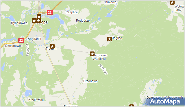 mapa Drzonowo Wałeckie, Drzonowo Wałeckie na mapie Targeo