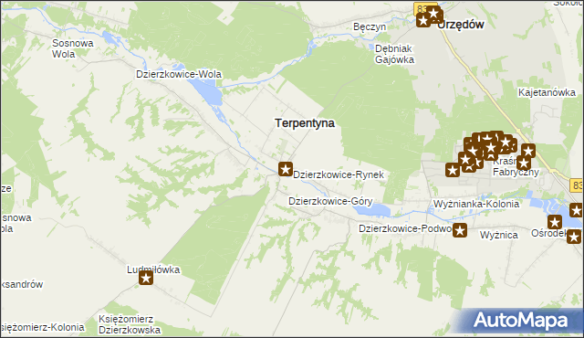 mapa Dzierzkowice-Rynek, Dzierzkowice-Rynek na mapie Targeo