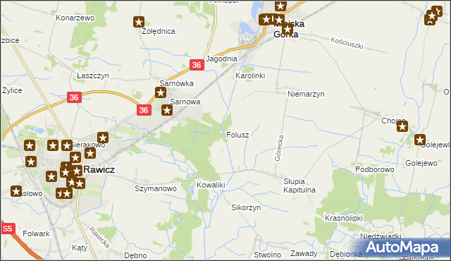 mapa Folusz gmina Rawicz, Folusz gmina Rawicz na mapie Targeo