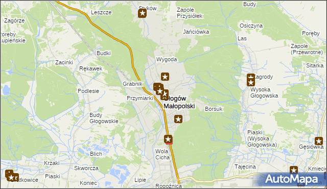 mapa Głogów Małopolski, Głogów Małopolski na mapie Targeo