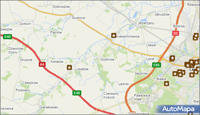 mapa Goślinów, Goślinów na mapie Targeo