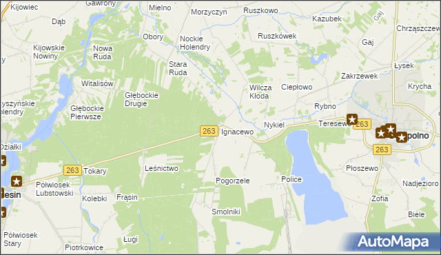 mapa Ignacewo gmina Ślesin, Ignacewo gmina Ślesin na mapie Targeo
