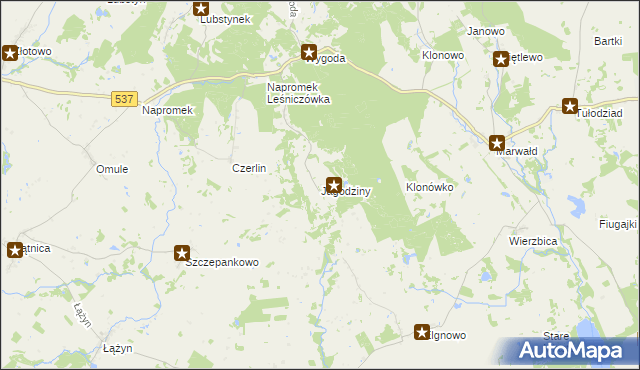 mapa Jagodziny, Jagodziny na mapie Targeo