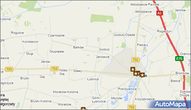 mapa Janowice gmina Piątek, Janowice gmina Piątek na mapie Targeo