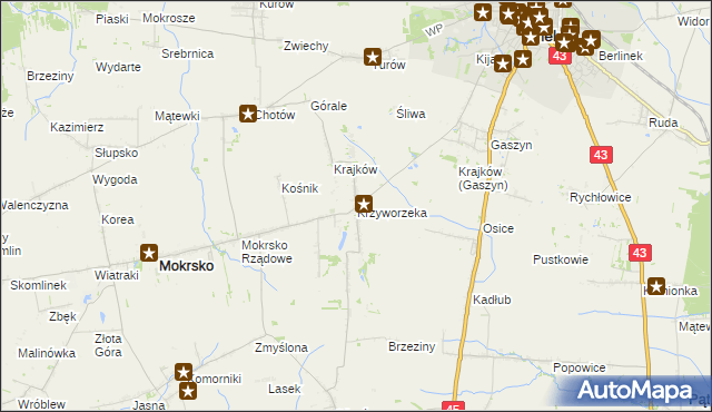 mapa Krzyworzeka gmina Mokrsko, Krzyworzeka gmina Mokrsko na mapie Targeo