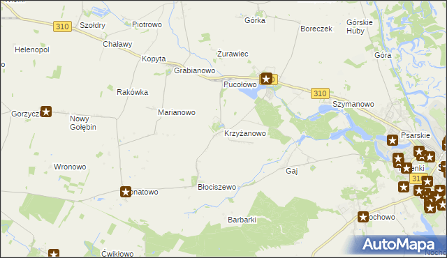 mapa Krzyżanowo gmina Śrem, Krzyżanowo gmina Śrem na mapie Targeo