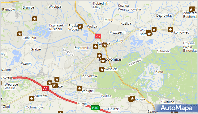 mapa Niepołomice, Niepołomice na mapie Targeo