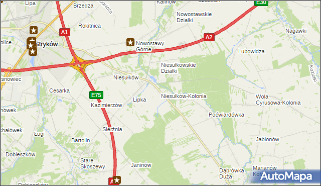 mapa Niesułków-Kolonia, Niesułków-Kolonia na mapie Targeo