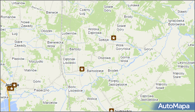 mapa Olszowa gmina Jastrzębia, Olszowa gmina Jastrzębia na mapie Targeo