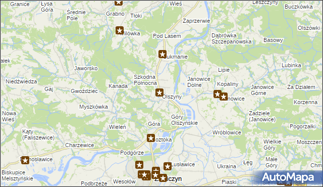 mapa Olszyny gmina Wojnicz, Olszyny gmina Wojnicz na mapie Targeo