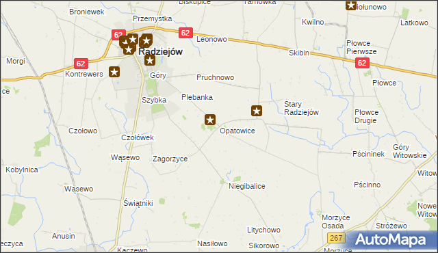 mapa Opatowice gmina Radziejów, Opatowice gmina Radziejów na mapie Targeo