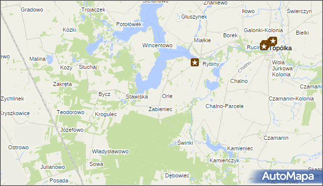 mapa Orle gmina Topólka, Orle gmina Topólka na mapie Targeo