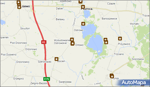 mapa Orłowo gmina Płużnica, Orłowo gmina Płużnica na mapie Targeo