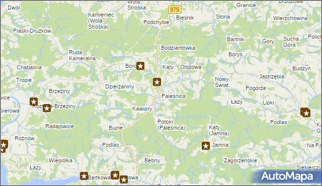 mapa Paleśnica, Paleśnica na mapie Targeo