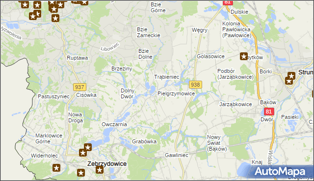 mapa Pielgrzymowice gmina Pawłowice, Pielgrzymowice gmina Pawłowice na mapie Targeo