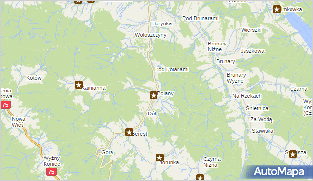 mapa Polany gmina Krynica-Zdrój, Polany gmina Krynica-Zdrój na mapie Targeo