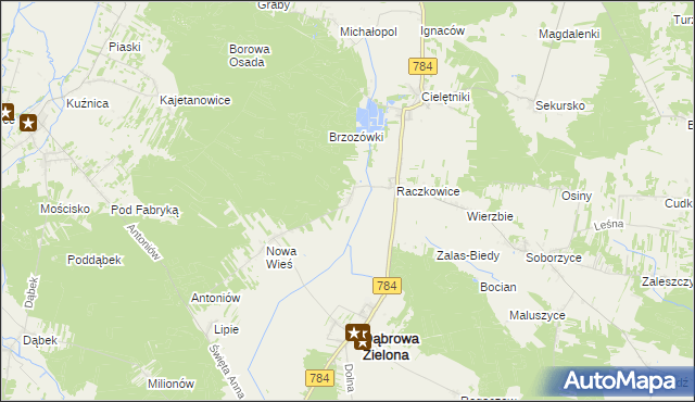 mapa Raczkowice-Kolonia, Raczkowice-Kolonia na mapie Targeo