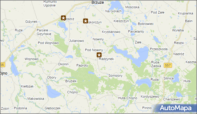 mapa Radzynek, Radzynek na mapie Targeo