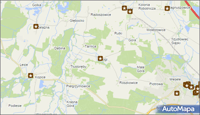 mapa Rogi gmina Niemodlin, Rogi gmina Niemodlin na mapie Targeo