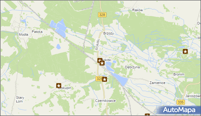 mapa Rokitki gmina Chojnów, Rokitki gmina Chojnów na mapie Targeo
